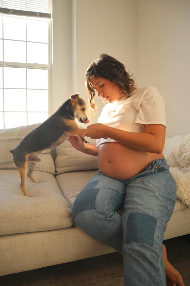 Mujer embarazada jugando con su perro en un sofá junto a una ventana